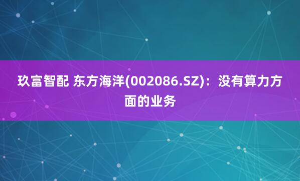 玖富智配 东方海洋(002086.SZ)：没有算力方面的业务