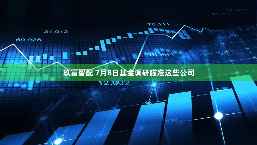 玖富智配 7月8日基金调研瞄准这些公司