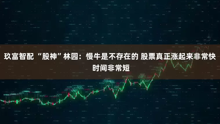 玖富智配 “股神”林园：慢牛是不存在的 股票真正涨起来非常快 时间非常短