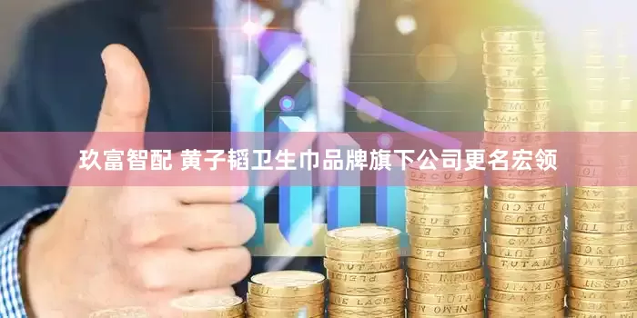 玖富智配 黄子韬卫生巾品牌旗下公司更名宏领