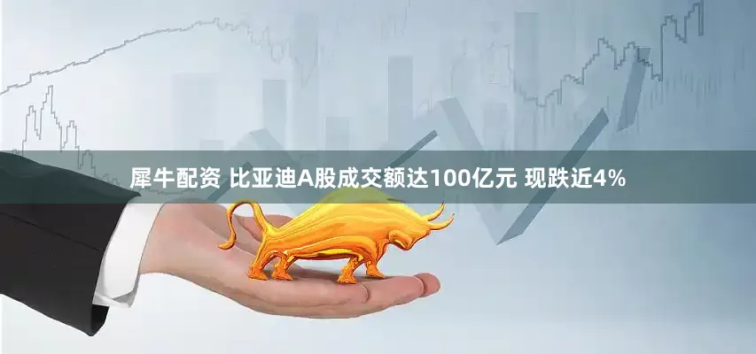 犀牛配资 比亚迪A股成交额达100亿元 现跌近4%